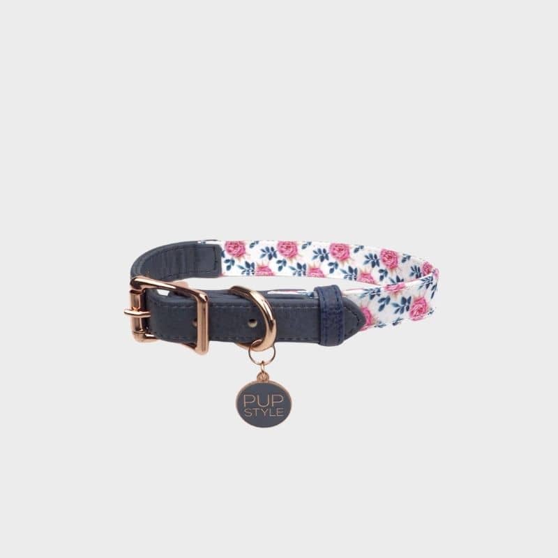 CEINTURE LIBERTY - Le chien blanc