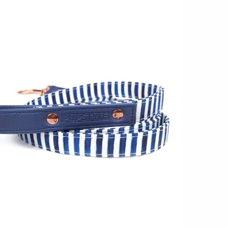 LAISSE POUR CHIEN - RAYURES BLEUES ET BLANCHES