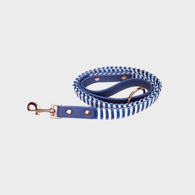 LAISSE POUR CHIEN - RAYURES BLEUES ET BLANCHES