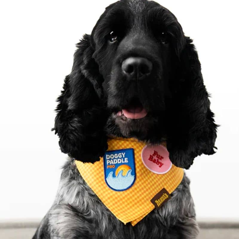 Patch thermocollant pour chien - Paddle Pro de Scout's honour