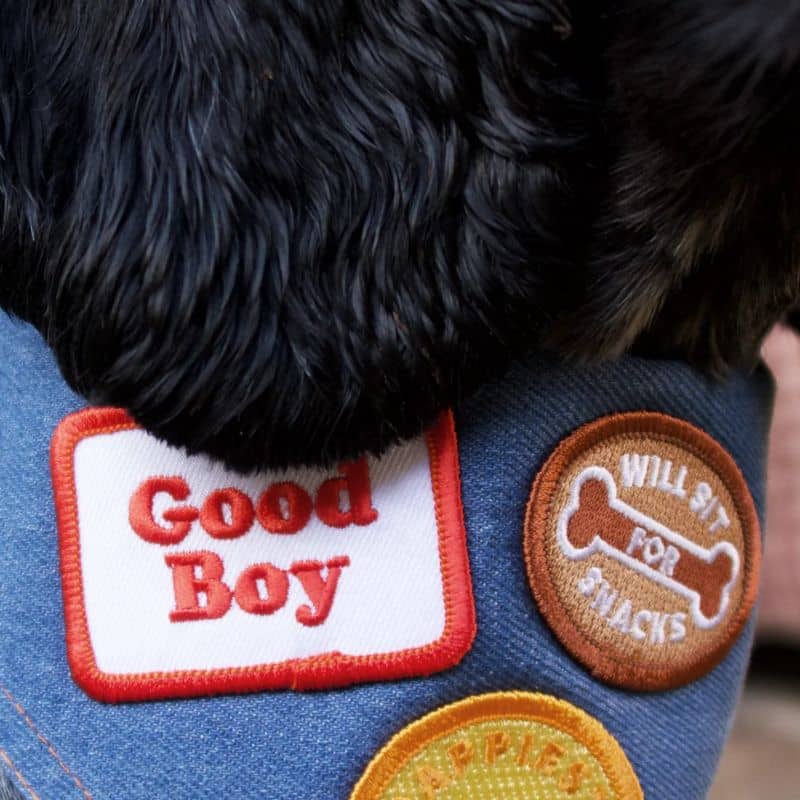 Badge Scout's Honour pour chien