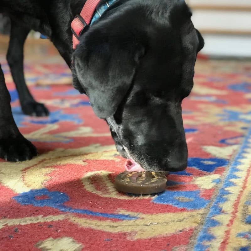 jouet résistant à mâcher ou lécher pour chien en forme de cacahuète SodaPup