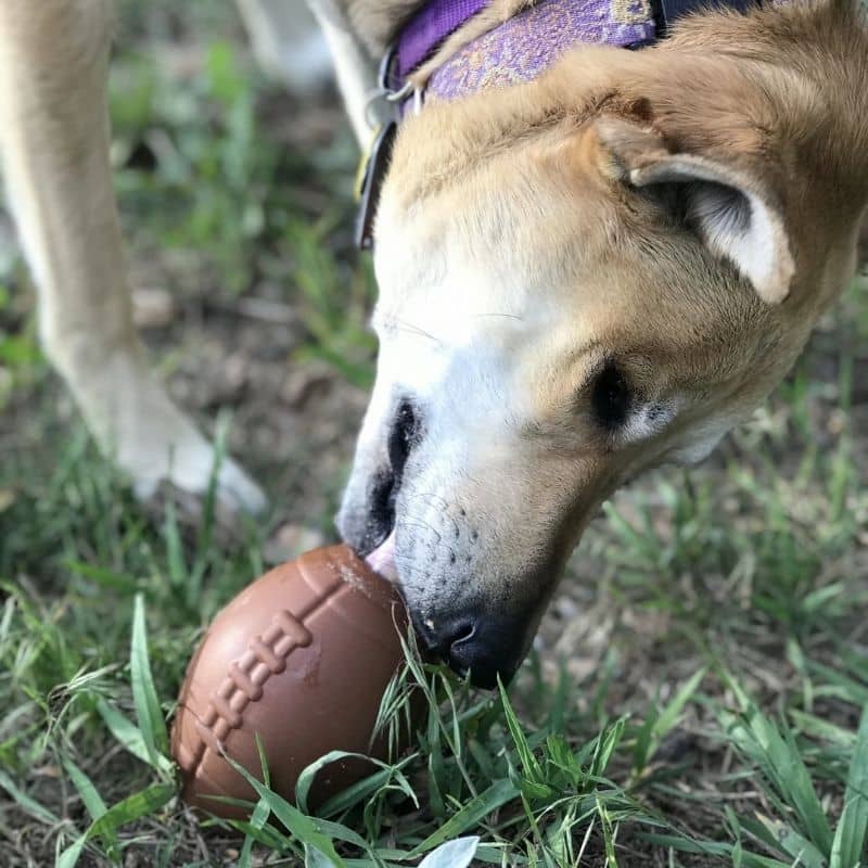 jouet d'occupation pour chien en forme de ballon de foot US SodaPup