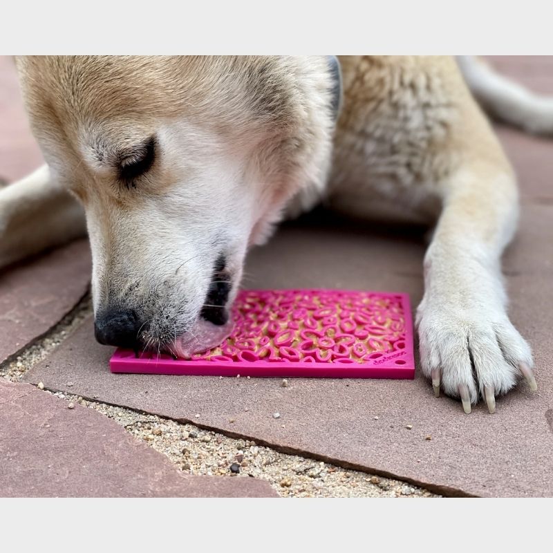 TAPIS DE LÉCHAGE ET D’OCCUPATION COMPACT POUR CHIEN ET CHAT MOTIF FLEURS ROSE DE LA MARQUE SODAPUP