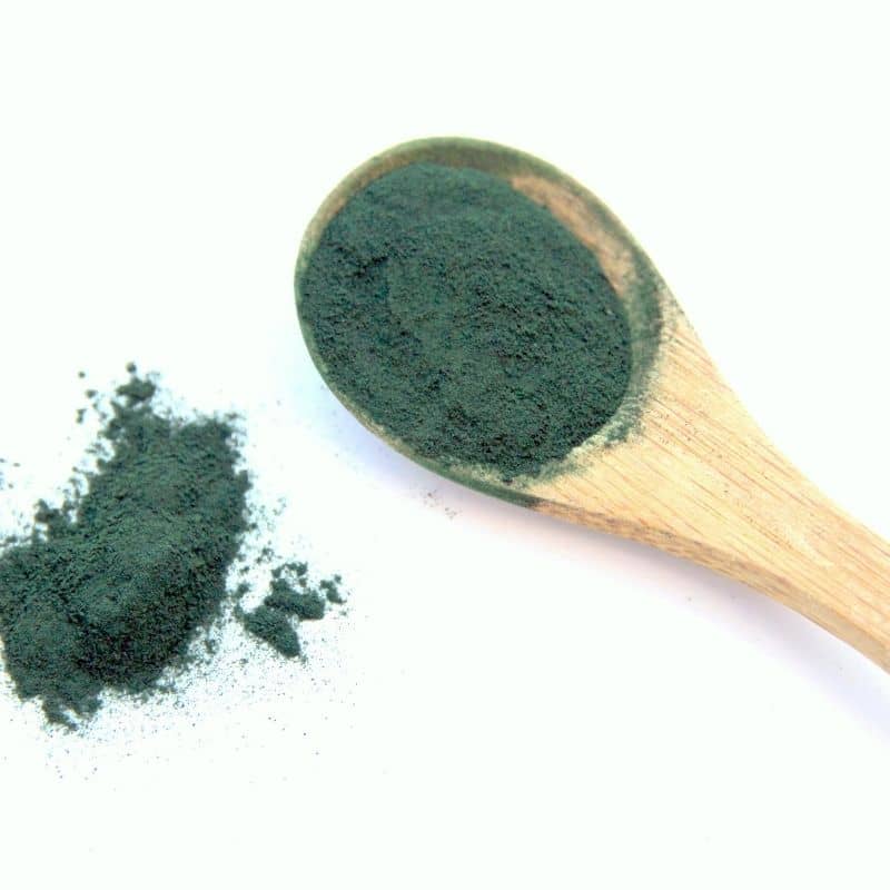 complément alimentaire pour chien et chat spiruline renforce systeme immunitaire 