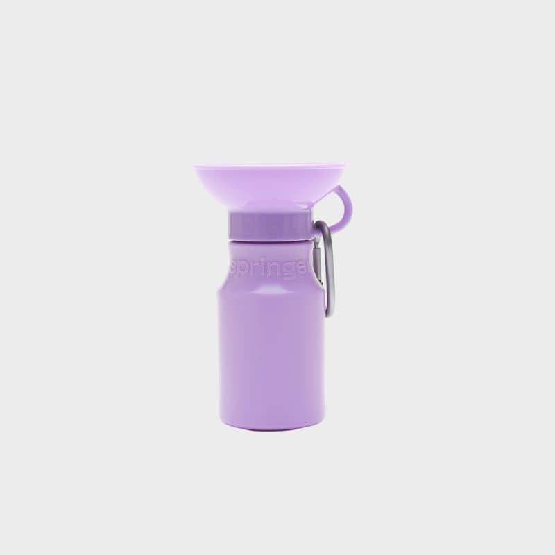 Gourde portable pour chien en lilac de Springer