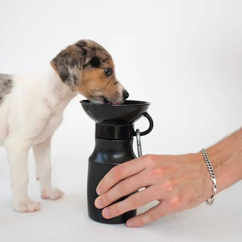 Gourde pour chien avec réservoir d'eau Noir Springer