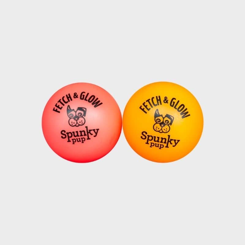 lot de 2 balles phosphorescentes pour chien "Fetch & Glow"