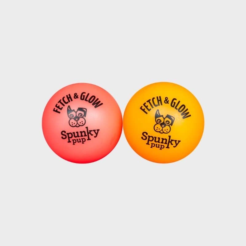 lot de 2 balles phosphorescentes pour chien "Fetch & Glow"