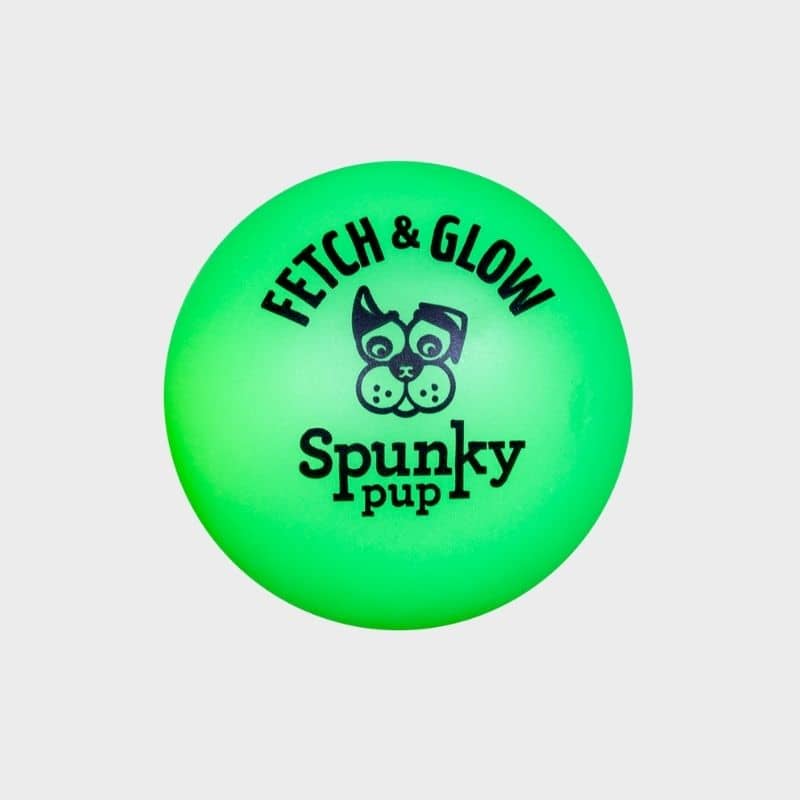 balle phosphorescente pour chien "Fetch & Glow"✨ Spunky Pup