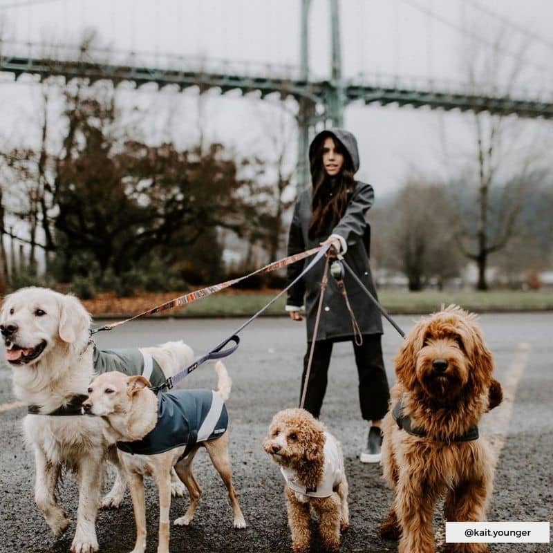 Imperméable pour chien avec intérieur polaire Stutterheim