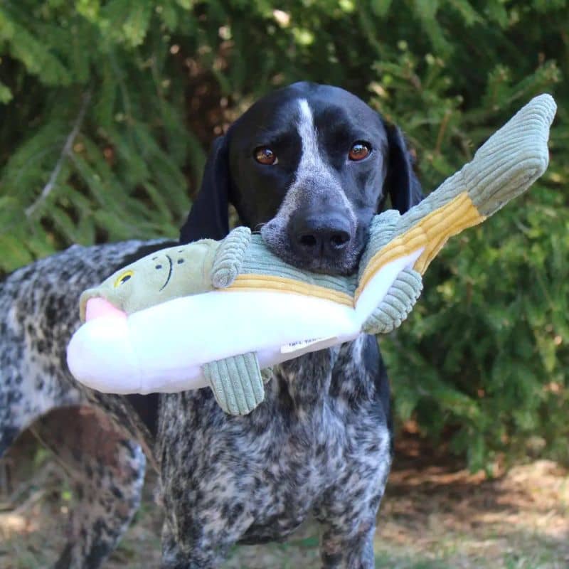 jouet interactif pour chien Tall Tails peluche en forme de poisson qui remue la queue lorsque l'on appuie sur le couineur 