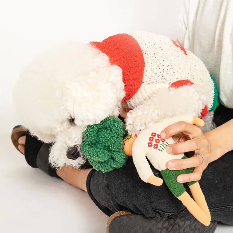 jouet d'occupation pour chien peluche de flair avec cachettes à friandises en forme d'humain aux cheveux verts The Furryfolks