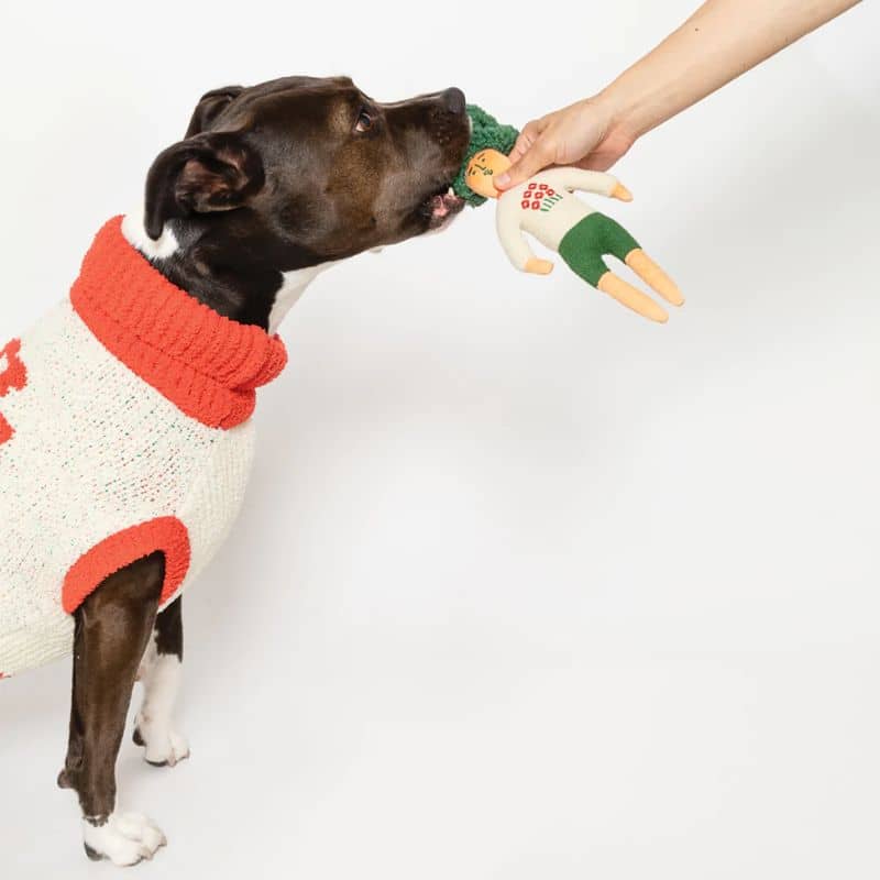 jouet d'occupation pour chien peluche de flair avec cachettes à friandises en forme d'humain aux cheveux verts The Furryfolks