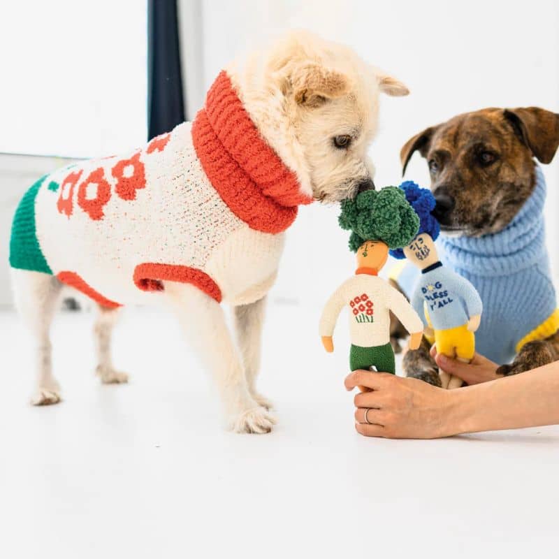 jouet d'occupation pour chien peluche de flair avec cachettes à friandises en forme d'humain The Furryfolks