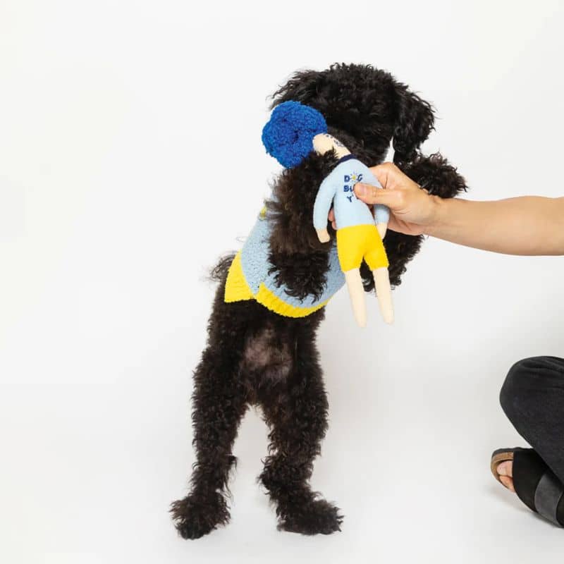 jouet d'occupation pour chien peluche de flair avec cachettes à friandises en forme d'humain aux cheveux bleus The Furryfolks