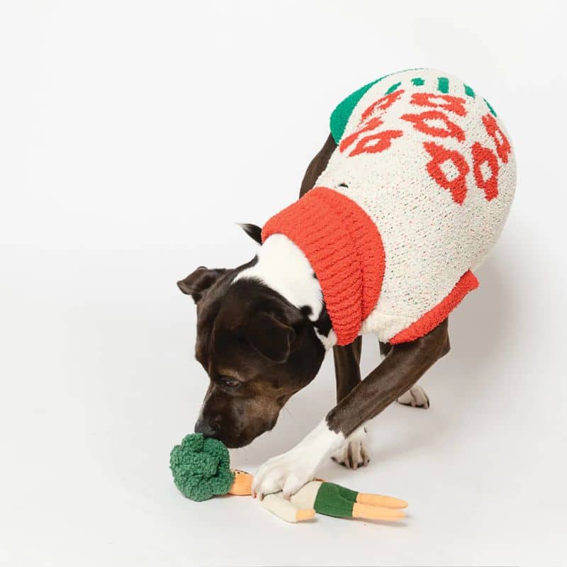 jouet d'occupation pour chien peluche de flair avec cachettes à friandises en forme d'humain aux cheveux verts The Furryfolks