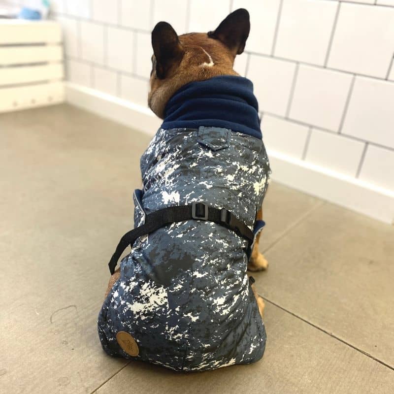 MANTEAU POUR BOULEDOGUE - THE SPLASH DOS