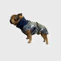 Pull Chien Queenmore Chaud Et élastique - Col Roulé, Manches Longues - Pour Bouledogue Français, Lévrier, Corgi Et Autres - Taille L - 1