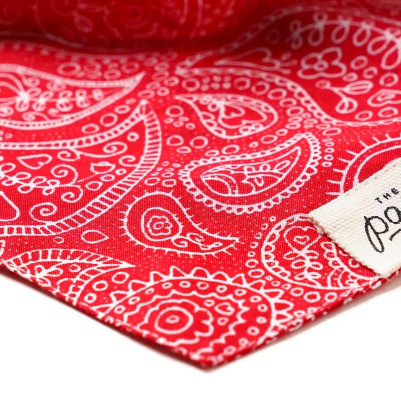 Détail bandana pour chien motif cachemire rouge