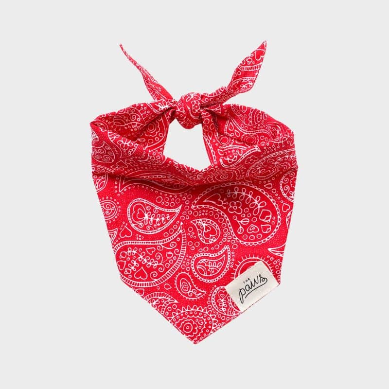 BANDANA POUR CHIEN THE PAWS - MOTIF CACHEMIRE ROUGE – THE WOUF