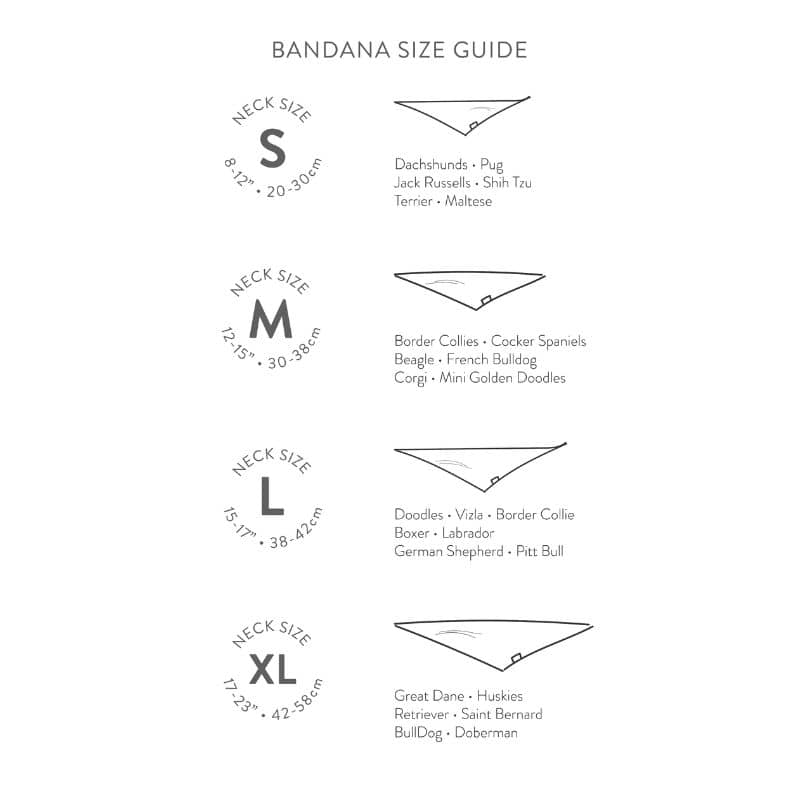 Guide des tailles bandana pour chien The Paws