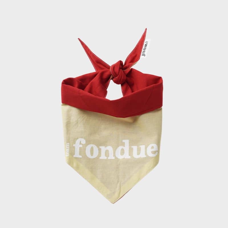 bandana réversible souvenir d'annecy Team raclette ou team fondue THE WOUF