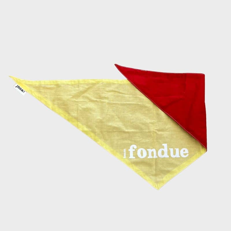 bandana réversible souvenir d'annecy Team raclette ou team fondue THE WOUF 