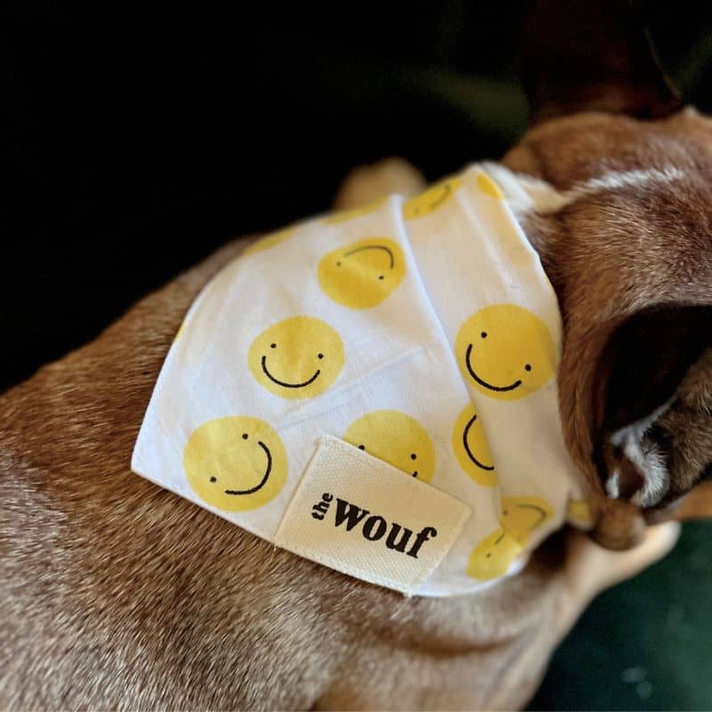 Bouledogue français avec bandana pour chien motif smiley Elsie the Paws