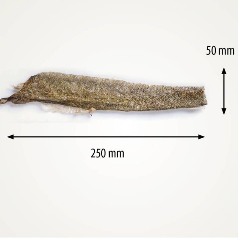 Taille peau de saumon pour chien