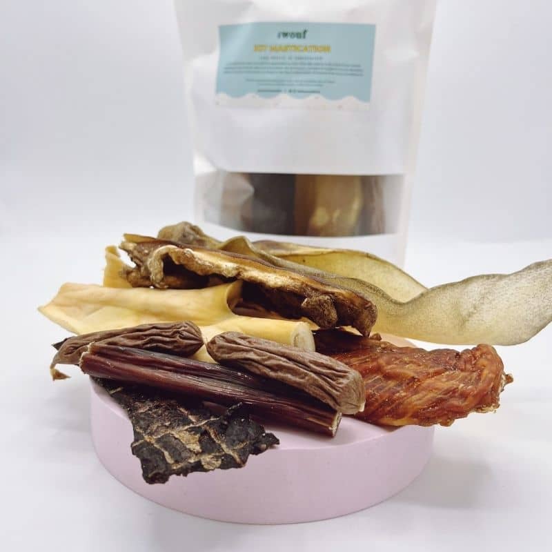 kit mastication pour chien - viande divers