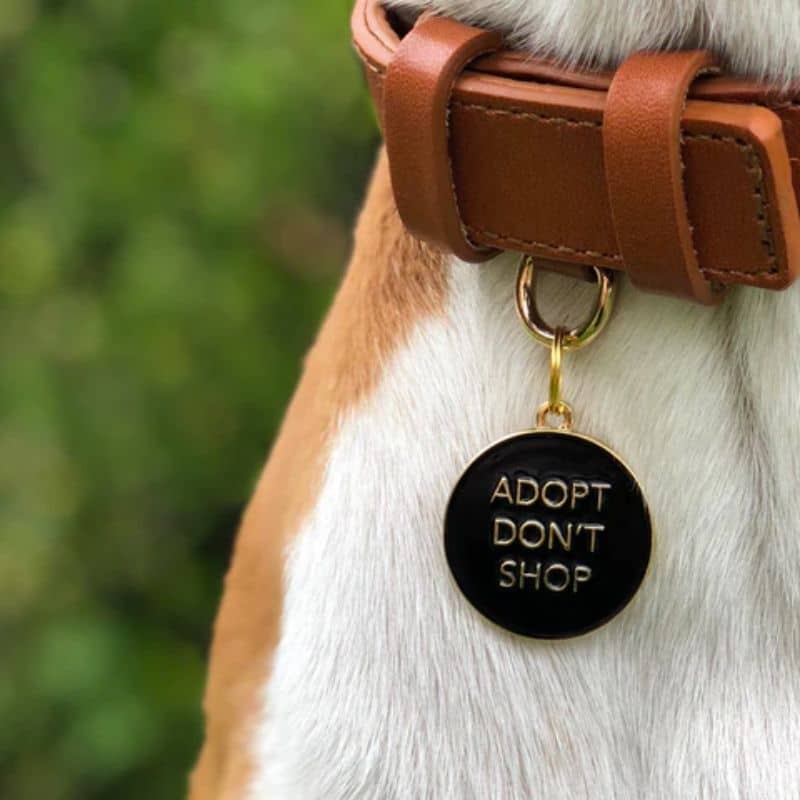 Médaille pour chien ronde Adopt don't shop de Two Tails Pet Company