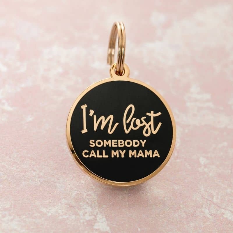médaille pour chien "I'm lost somebody call my mama" ("Je suis perdu, que quelqu'un appelle ma maman") de la marque Two Tails Company