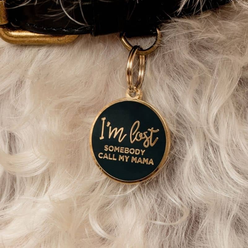 médaille pour chien originale "I'm lost somebody call my mama"