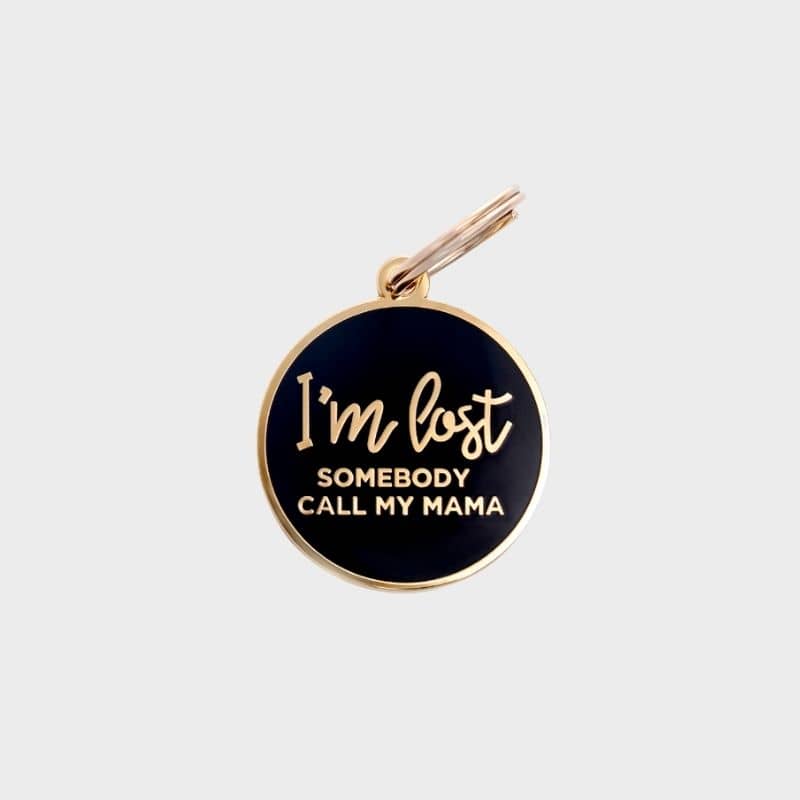 médaille pour chien stylée et tendance "I'm lost somebody call my mama"
