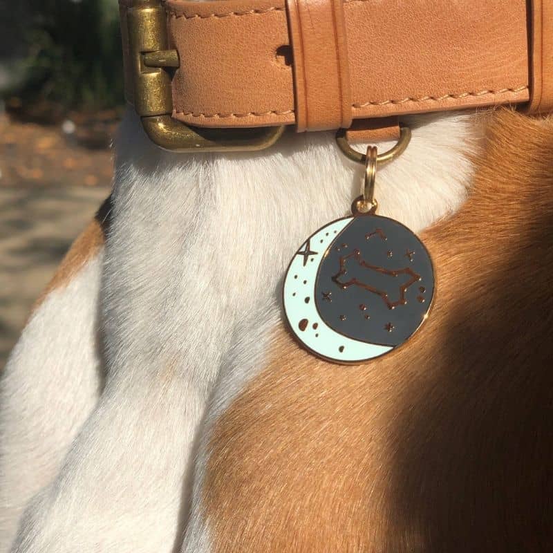 MÉDAILLE POUR CHIEN TWO TAILS COMPANY - CONSTELLATION ✨ – THE WOUF