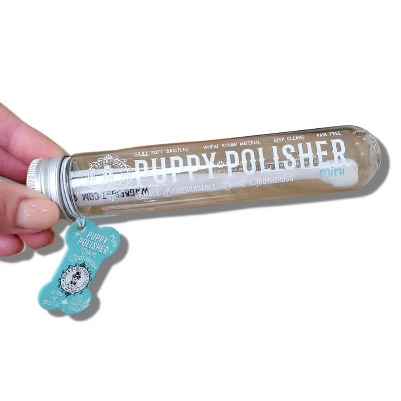 brosse à dent biodegradable pour chien Wag & Bright pour un brossage doux luttant contre le tartre et pour une haleine fraiche