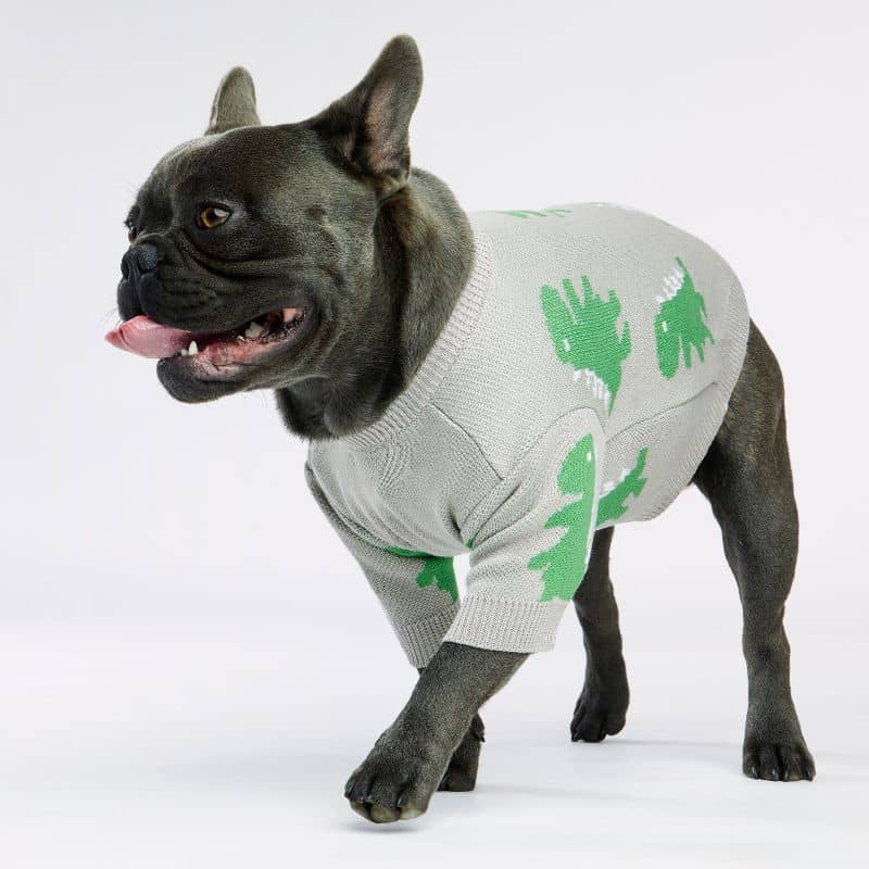 Bouledogue français avec pull pour chien fait à la main en gris