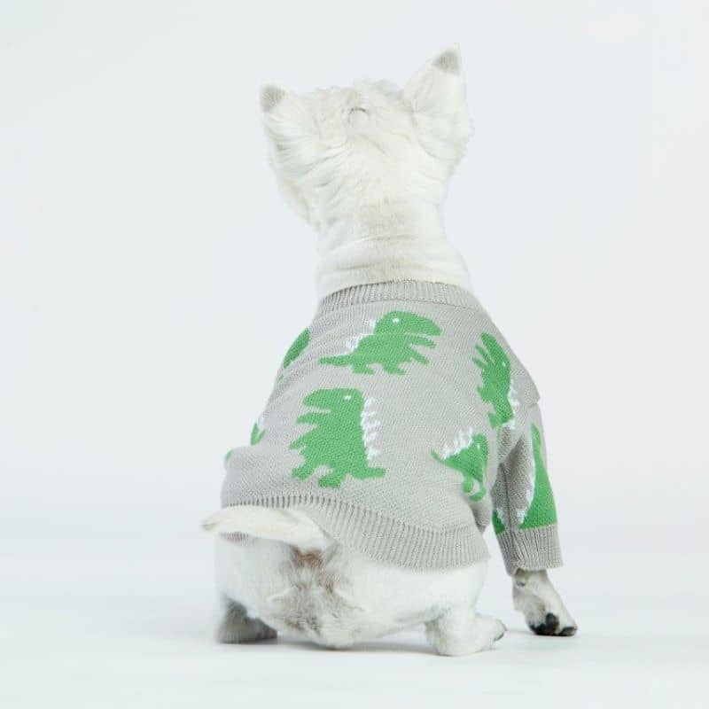 Chien de dos avec pull pour chien gris motif dinosaure