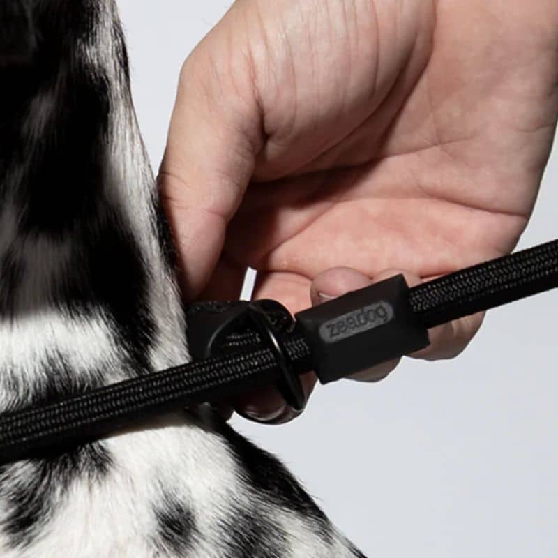 Détail laisse lasso pour chien gotham