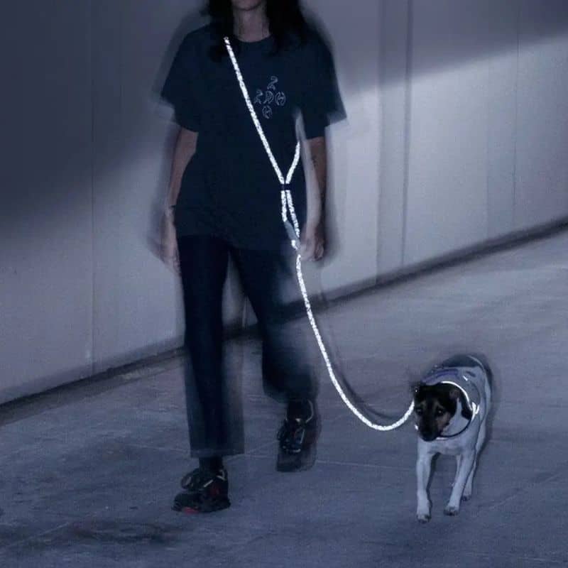 Laisse pour chien Zee.Dog hands free en noir réfléchissant