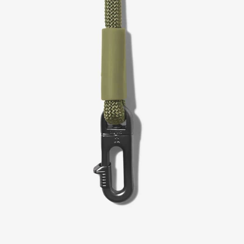 Détail mousqueton solide pour laisse pour chien