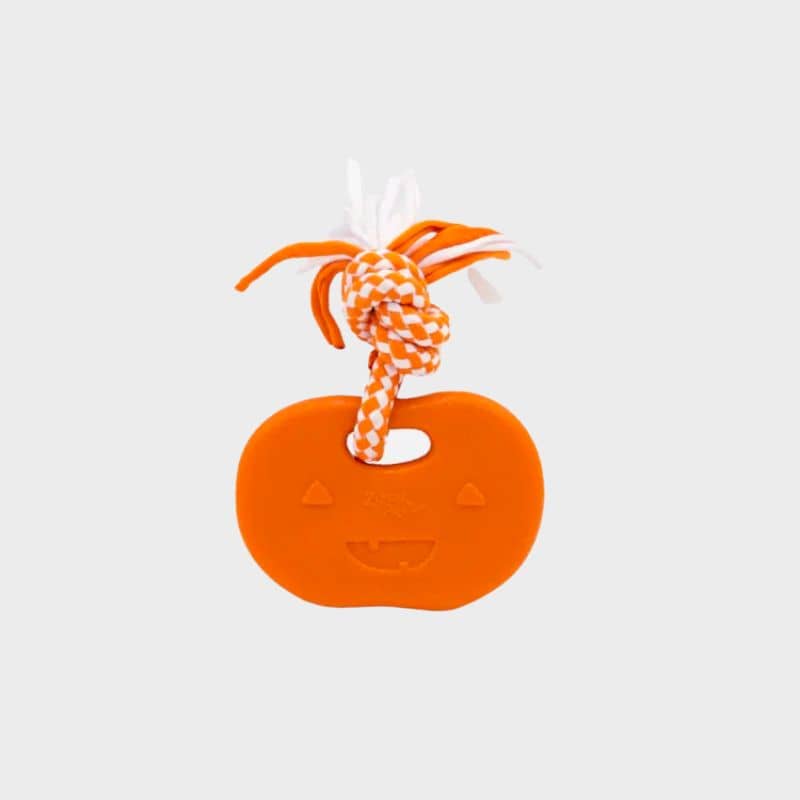 jouet a macher pour chiot ou chien destructeur Teetherz Halloween citrouille et corde