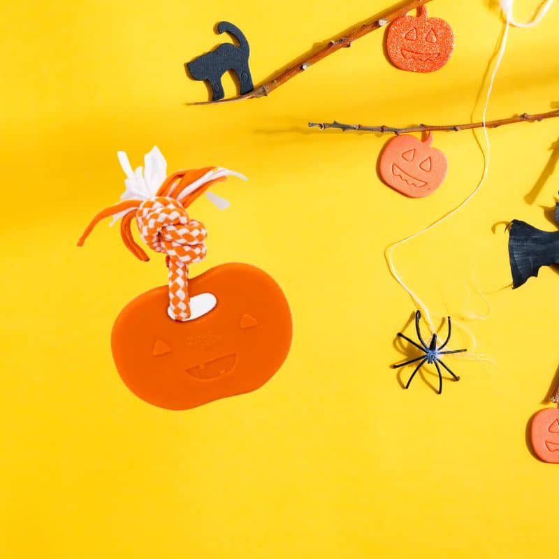 jouet a macher pour chiot ou chien destructeur Teetherz Halloween citrouille et corde