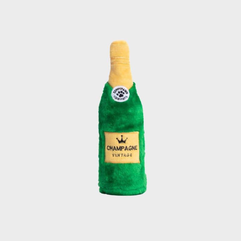 Jouet pour chien avec bouteille plastique