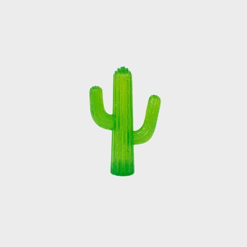 jouet résistant à mâcher pour chien en forme de cactus 🌵 ZippyPaws